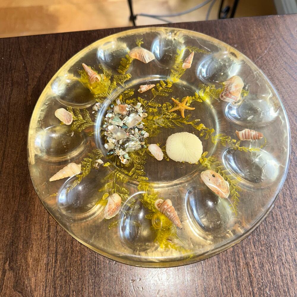 Vintage Deviled Egg Tray Resin  Embedded Sea Shells and Sand by Design Gifts Inc